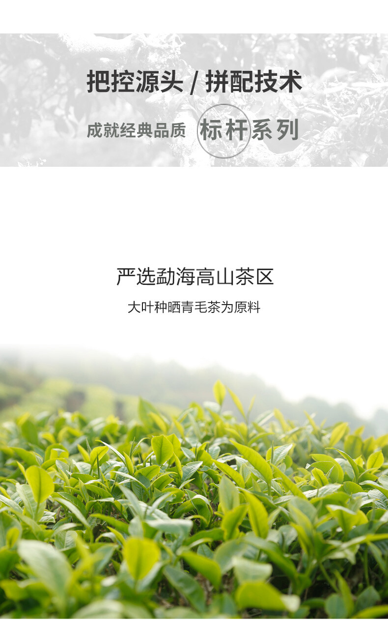 Haiwan Lao Tong Zhi Old Comerade 7548 Pu-erh Tea Cake Sheng 2021 357g Raw Pu’er