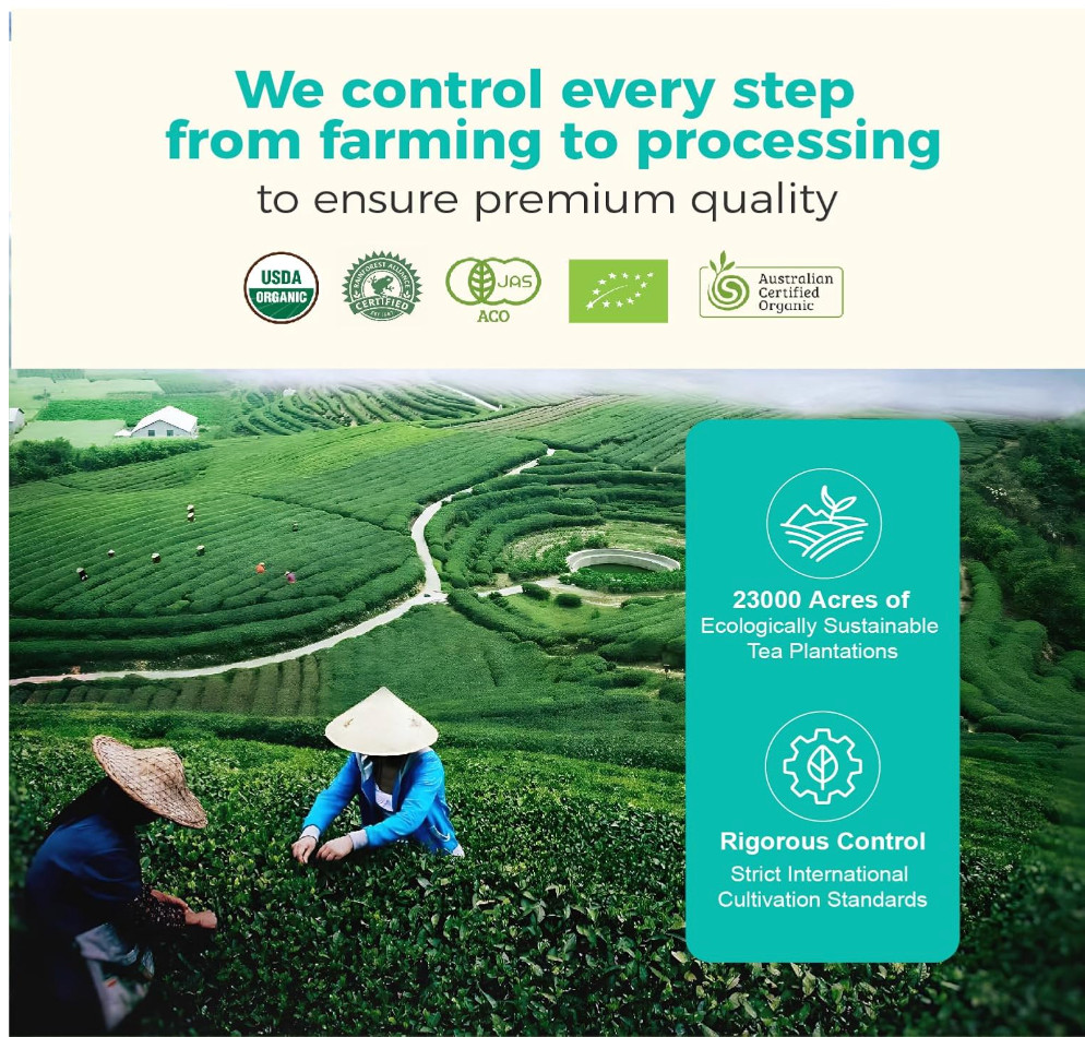 Organic Ceremonial Grade Matcha 100% Pure USDA-Certified, Sugar-Free Gluten-Free