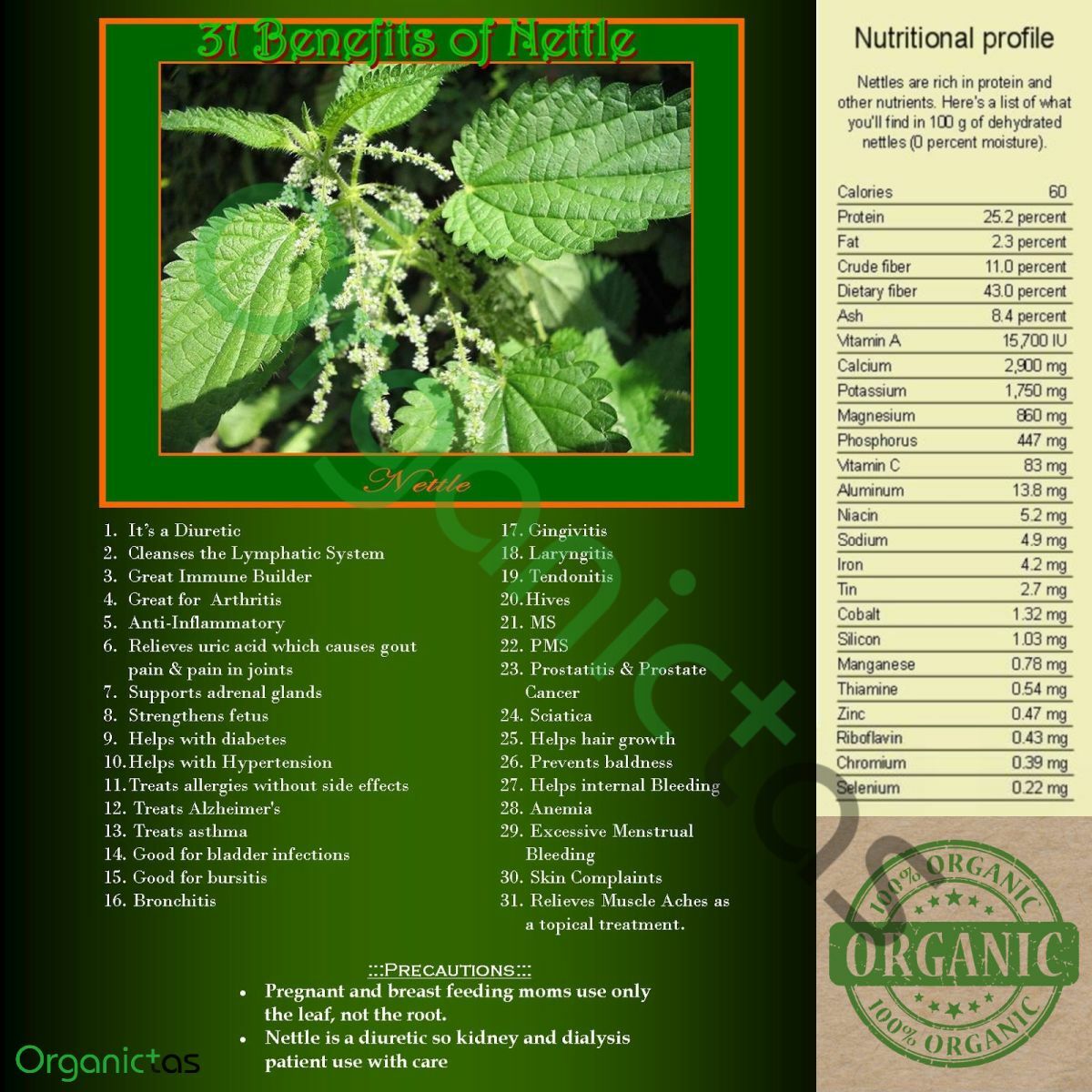 Stinging Nettle Root Tea | Premium Quality | Urtica Dioica | Loose Dried Cut Her