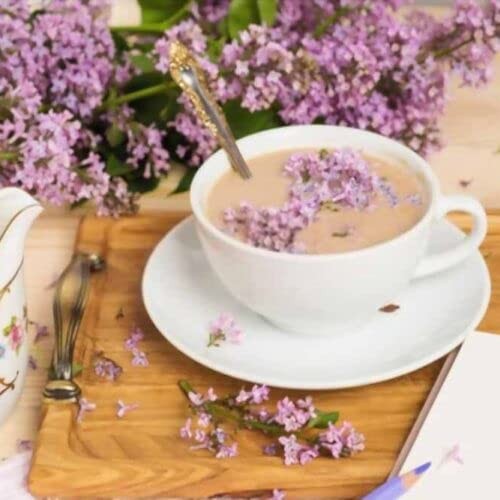 GINO Lavender Milk Tea, Lavender Tea – Lavender Milk Tea Powder 14 Oz (400 g)…