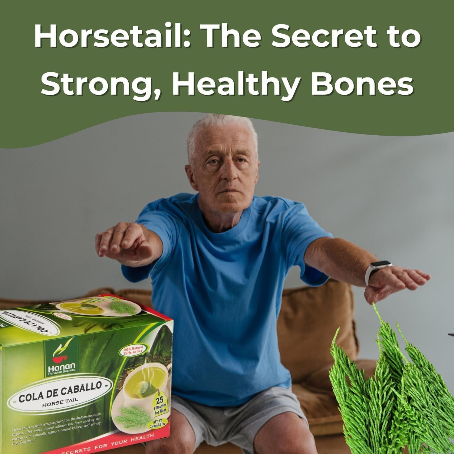 Horsetail Tea Hojas de Cola de Caballo 50 Teabags Premium Dried Herb from Peru