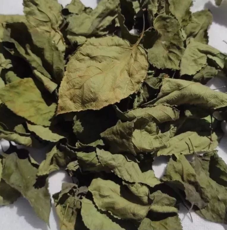 75g Dried Lantana Camara Leaves 100% Organic Shrub Verbena Angel Lips Tea