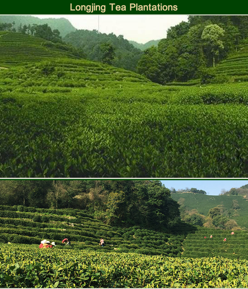 Yu Qian Longjing Tea Leaf,Dragon Well Before Grain Rain Day,3rd Class,250g,雨前龙井