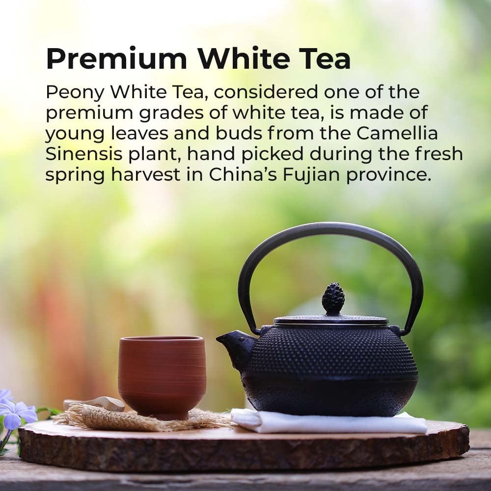 Prince of Peace Premium White Tea Peony Handpicked 100 Count Pack of 2