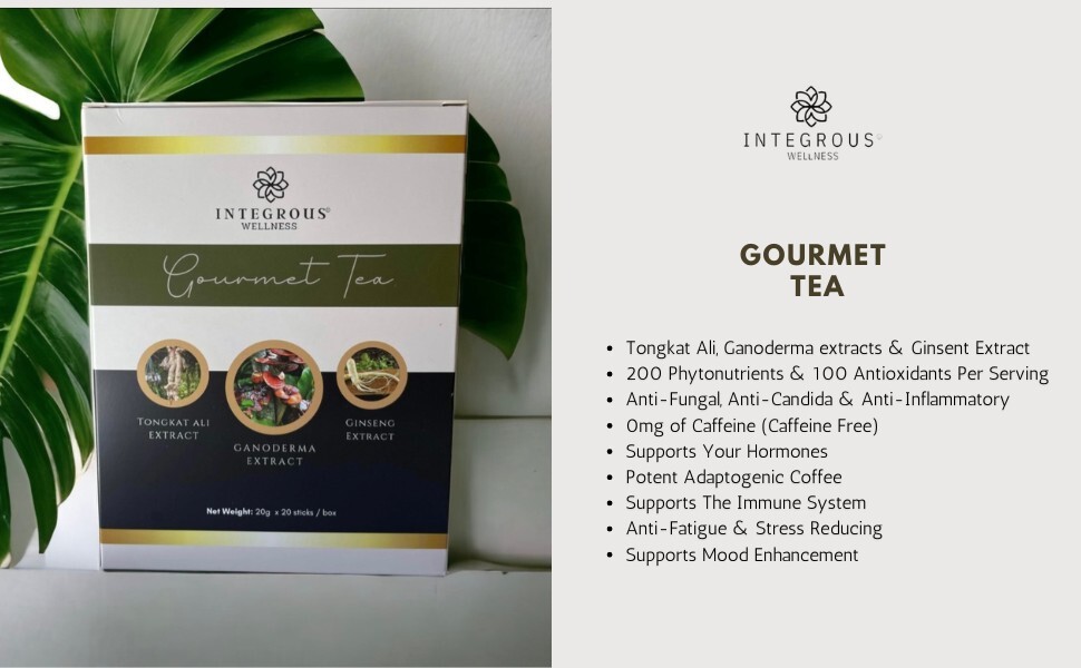 Gourmet Therapeutic Tea (Tea Flavor) 20 Sachets