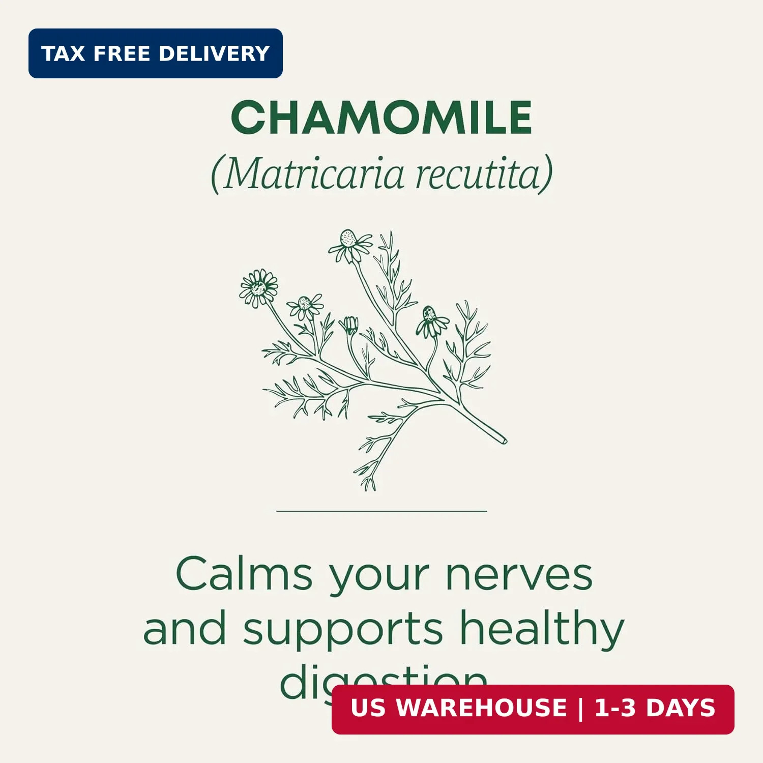 Traditional Medicinals Organic, Chamomile Tea – Supports Stress Relief and Relax