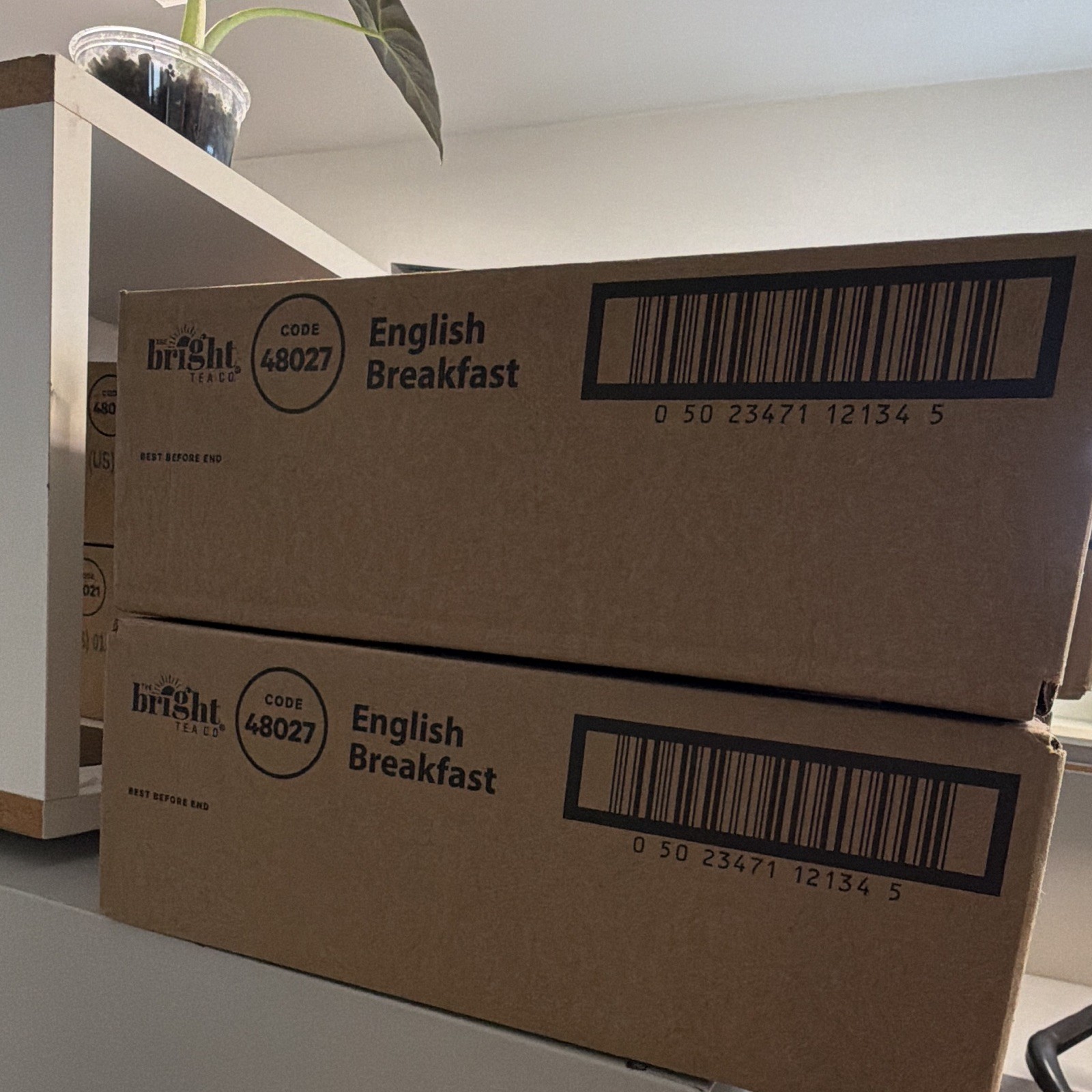 The Bright Tea Co. English Breakfast Tea & Infusion Case/Box MPN 48027