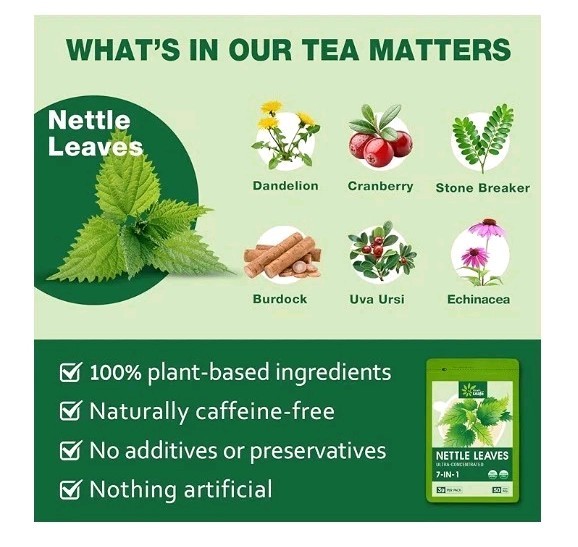 EnrychLeafo Nettle Leaves Tea, 50 Teabags, Healthy Blend for Urinary Health. B6