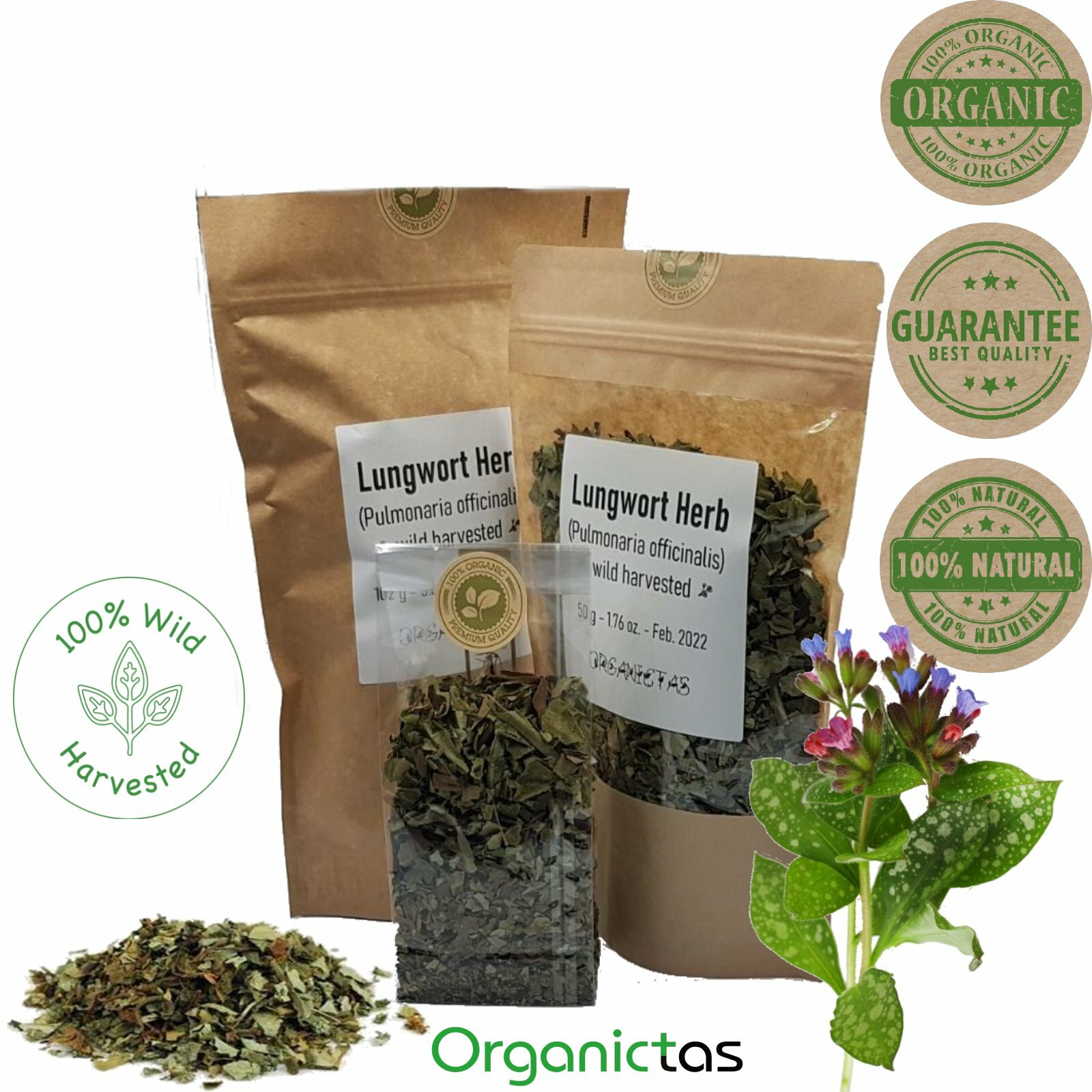 Organic Lungwort Herb Tea Loose – for Lungs & Respiratory System – 100g / 3.53oz
