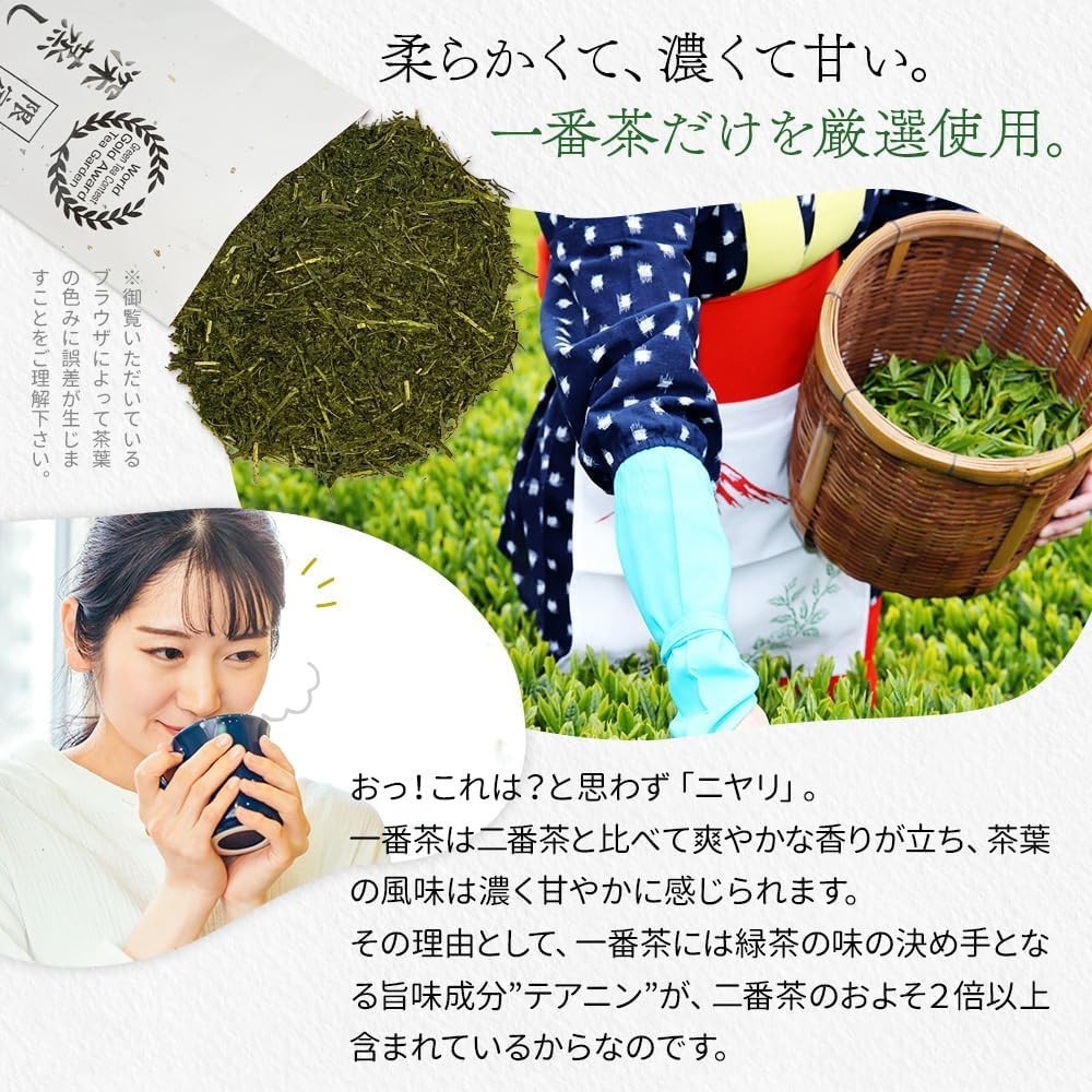 Shizuoka Fukamushi Ichibancha Sencha Green Tea 100g×3 From Japan