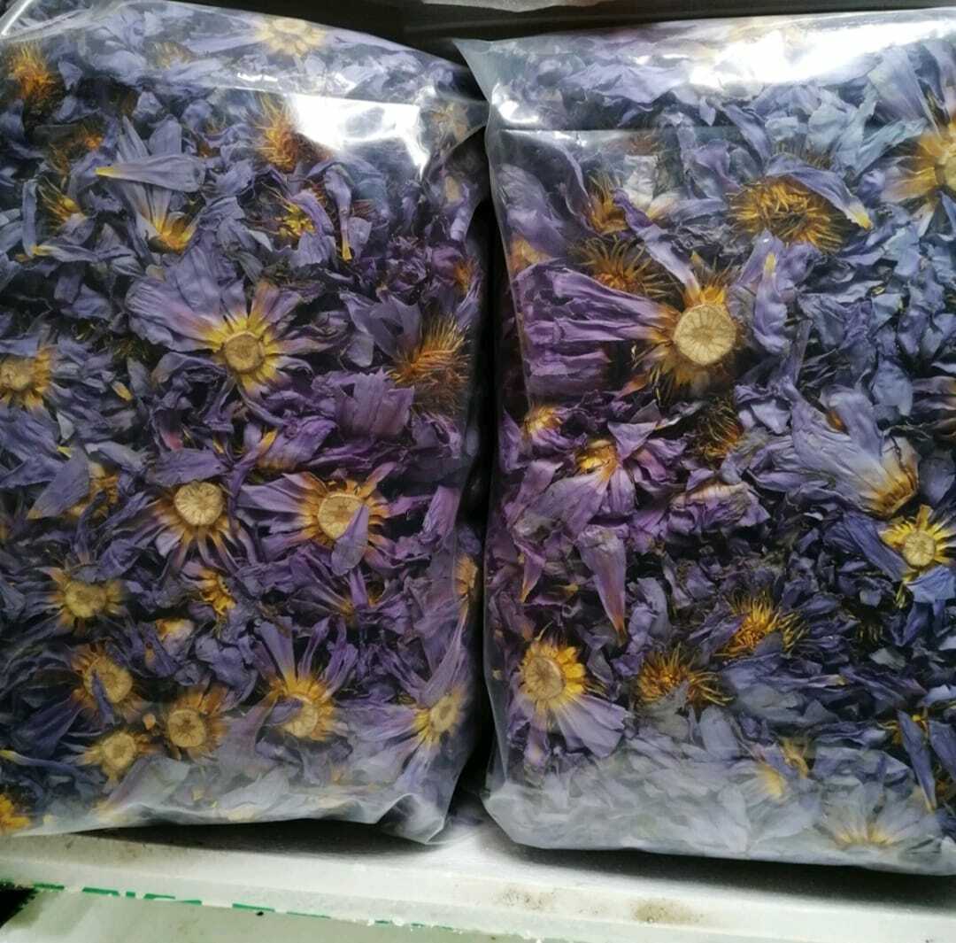 Natural Organic Dried Blue Lotus Nymphaea Caerulea Flower 100% Herbal Tea 50g.