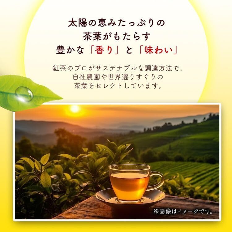Lipton Black Tea 2.0g x 50 bags x 4 pyramid shaped tea bags unsweetened yellow L
