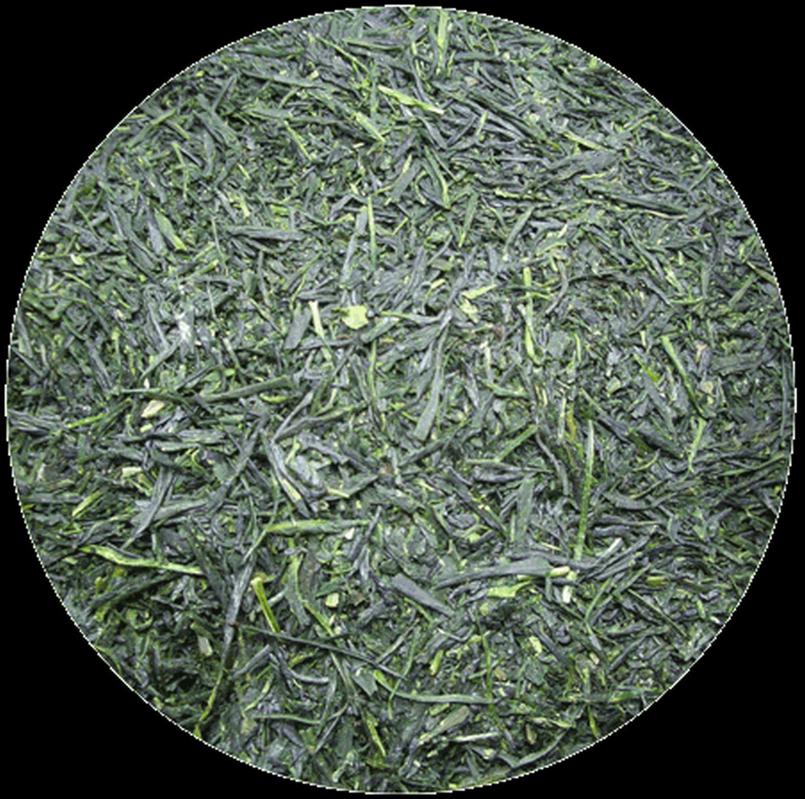 Japanese Green Tea Tokujou Gyokuro 100g(3.5oz)