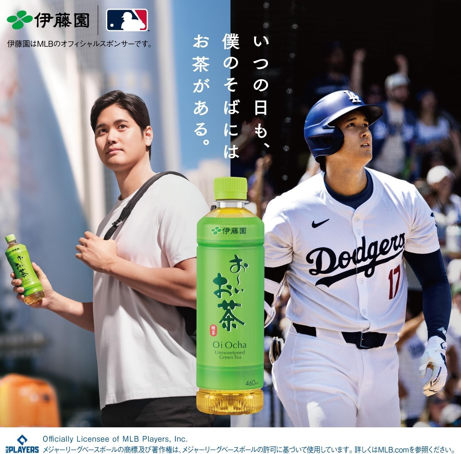 Ito En Oi Ocha Premium Green Tea Bags 50ct | Uji Matcha Blend from Japan