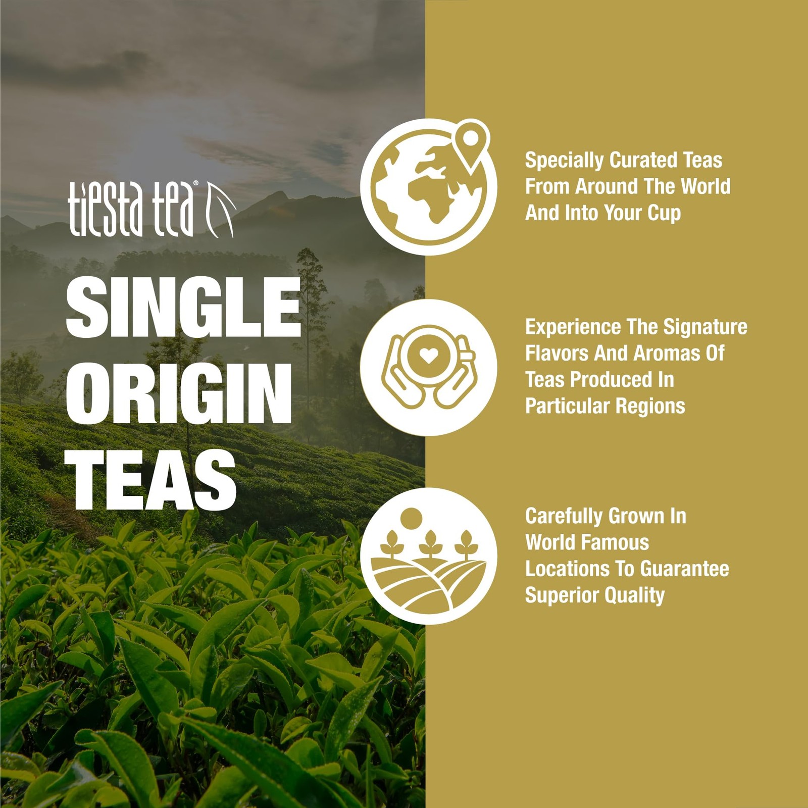 Tiesta Tea – Japanese Sencha Tea, Loose Leaf, Single Origin Premium Sencha Gr…