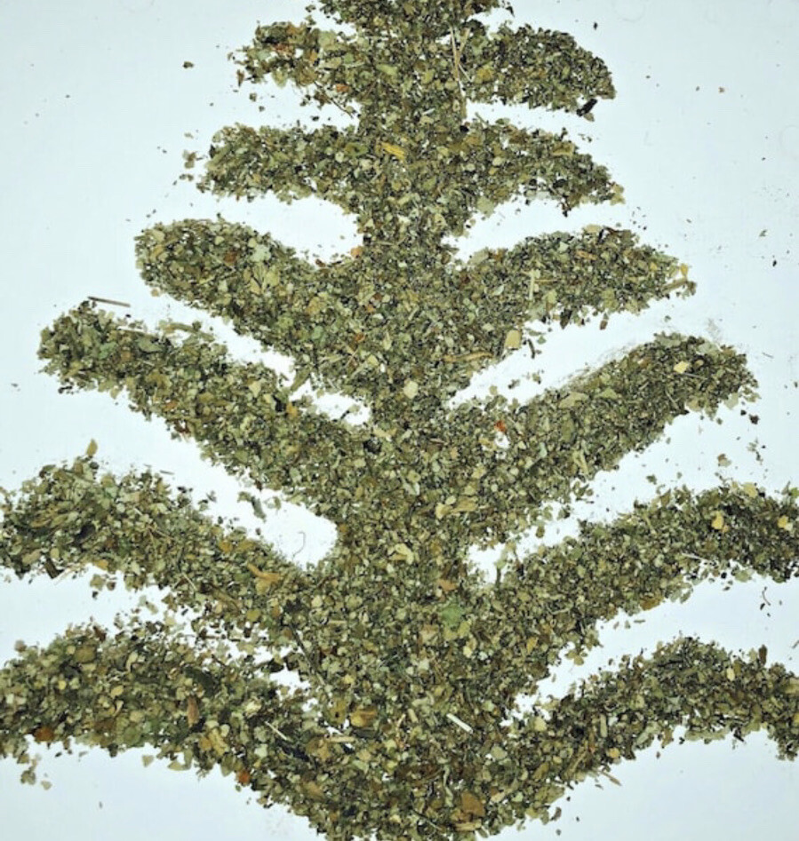 Mullein Herb Leaf cut bulk wild crafted organic