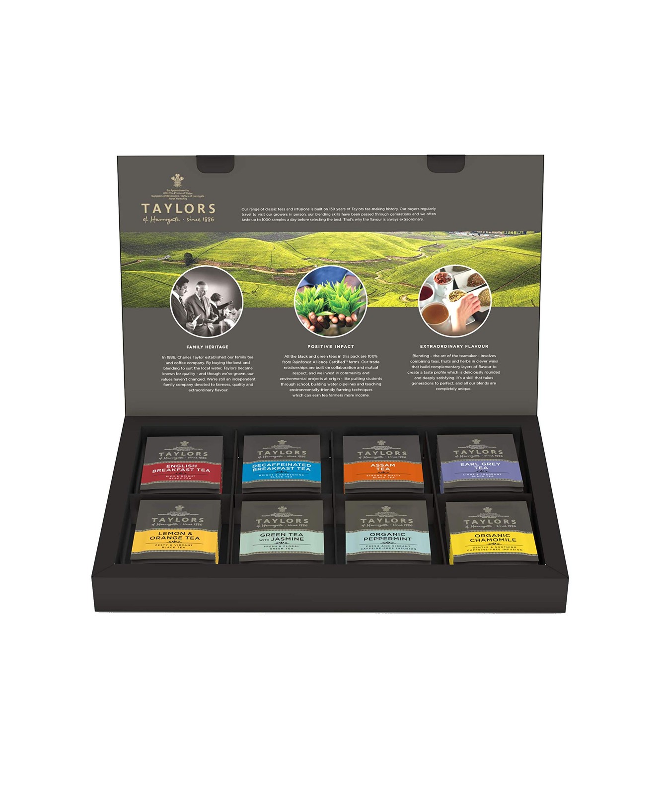 Taylors of Harrogate Green Tea, Herbal Infusions & 48 Count (Pack 1)