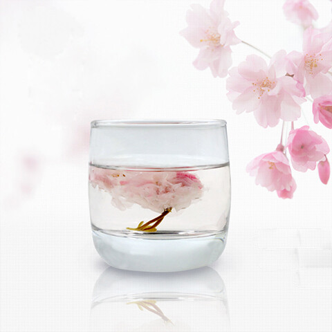 NESTLADY Edible Salt Pickled Sakura, Pickled Sakura Cherry Blossoms, 腌渍樱花 70g