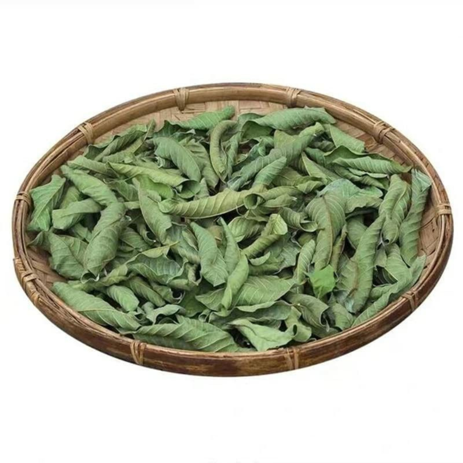 100% Organic Guava Leaves Powder – Premium Natural Ceylon Guava Leaf Hair loss