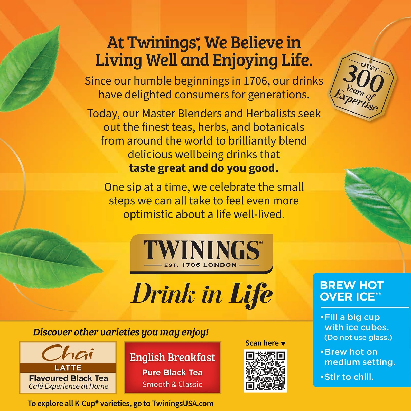 Twinings Earl Grey Black Tea K-Cup Pods for 24 Count (Pack of 1), Multi