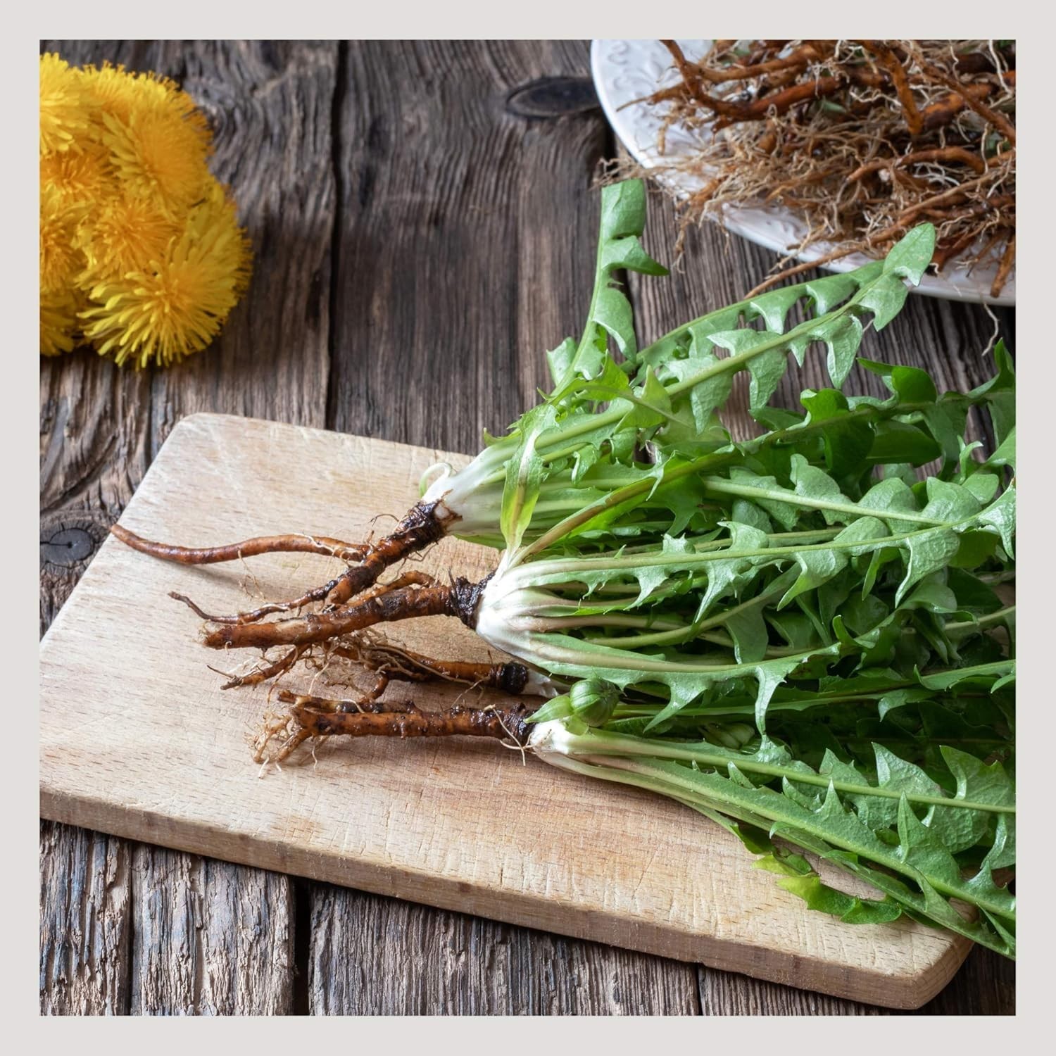 Naturals Dandelion Root Loose Tea 4 oz, Wild-Crafted, Caffeine-Free