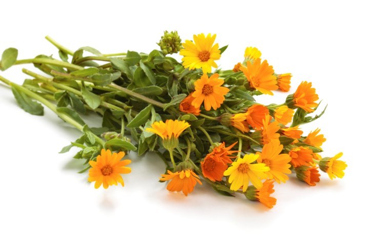 Calendula Flowers – 2 oz – Dried Whole Loose Flower, US Seller