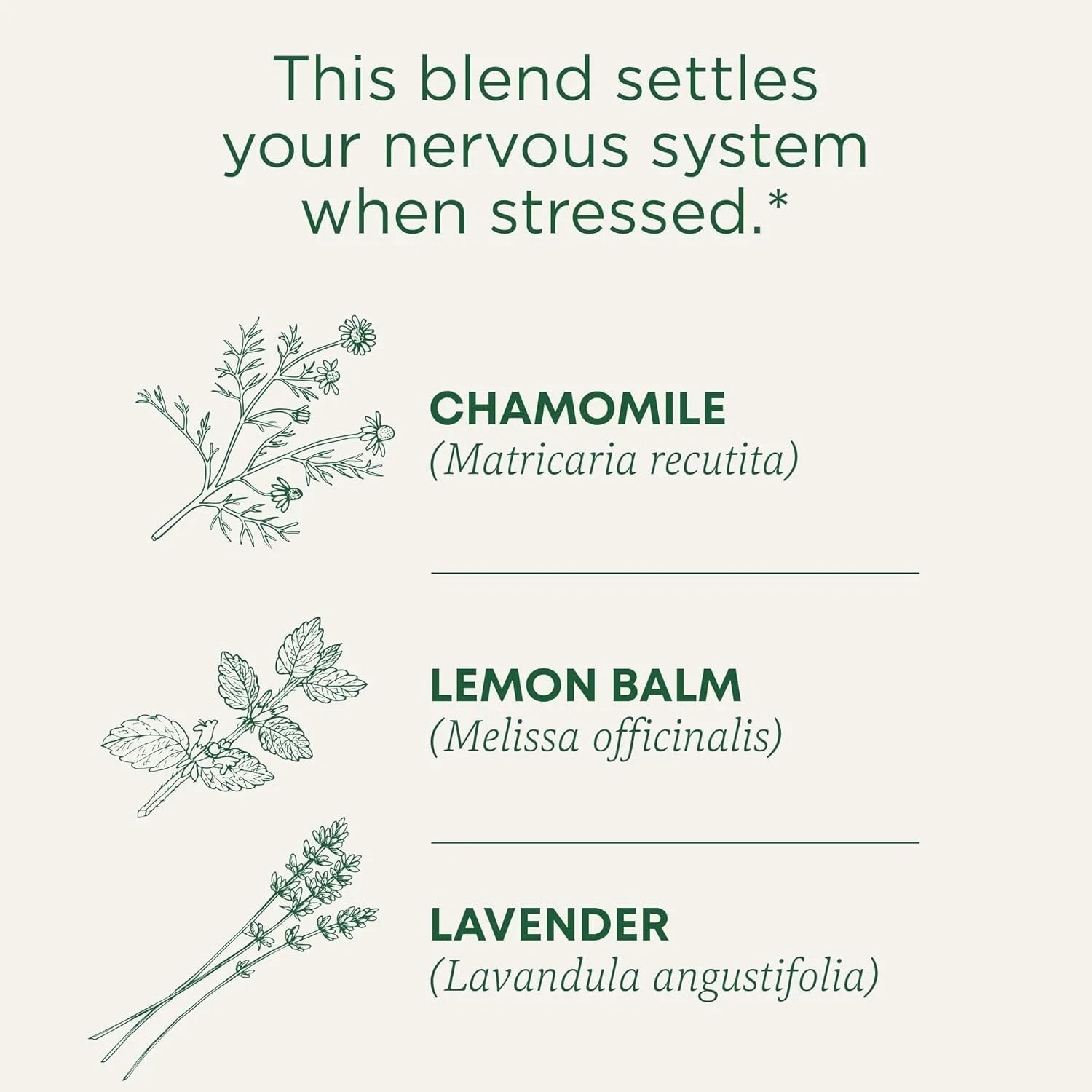 Traditional Medicinals Tea, Organic Chamomile & Lavender, Stress Relief, 16 Sacs