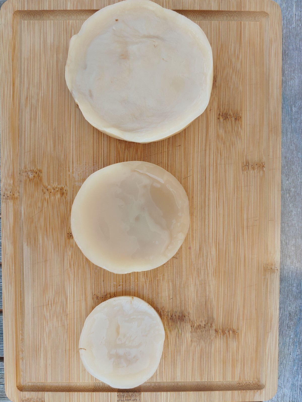 4″ Live ORGANIC KOMBUCHA FRESH SCOBY STARTER TEA | Kombucha For Gut Health