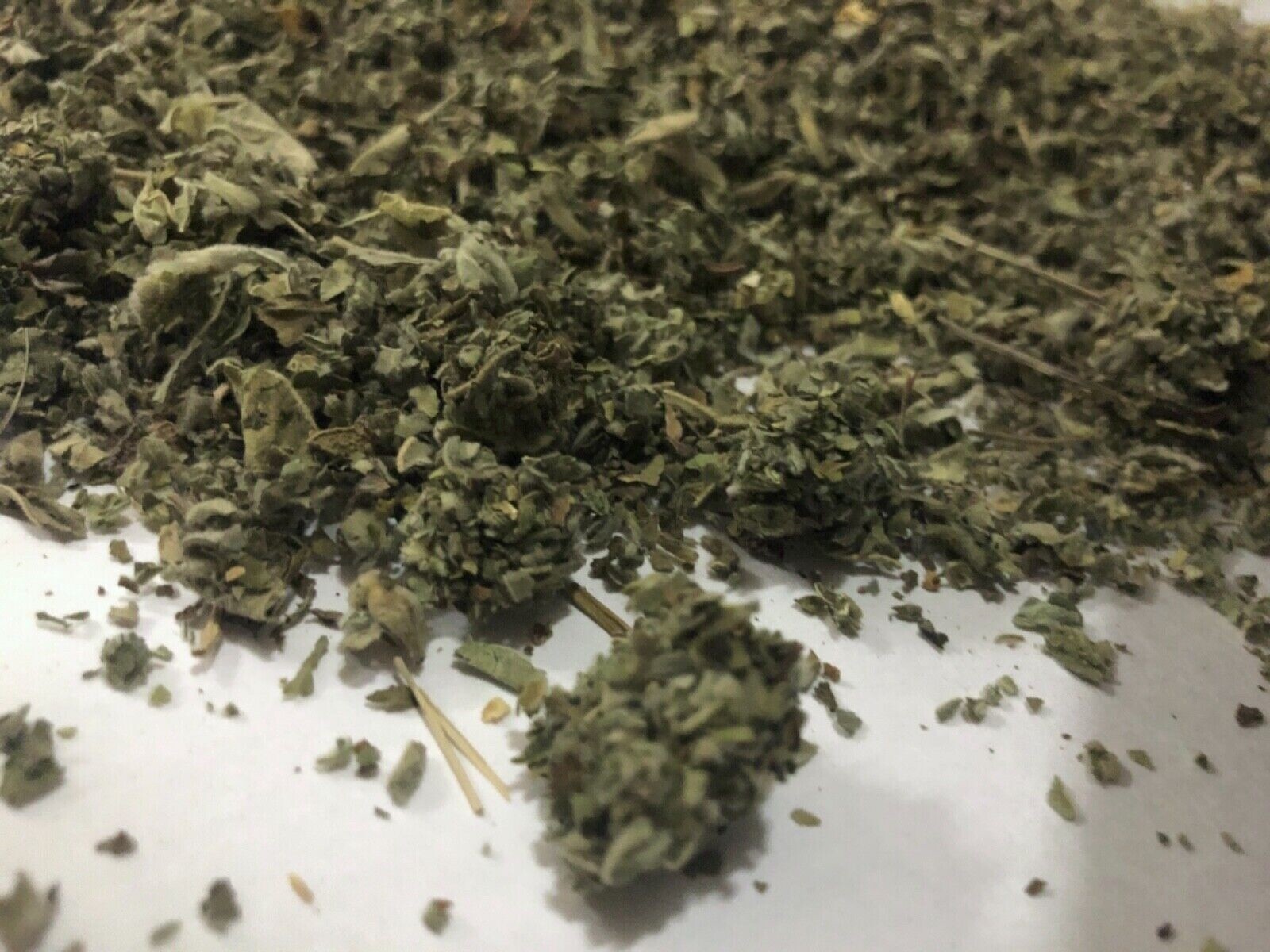 Organic Marshmallow LEAF High Quality Althaea Herb Tea 1 lb (16 oz)