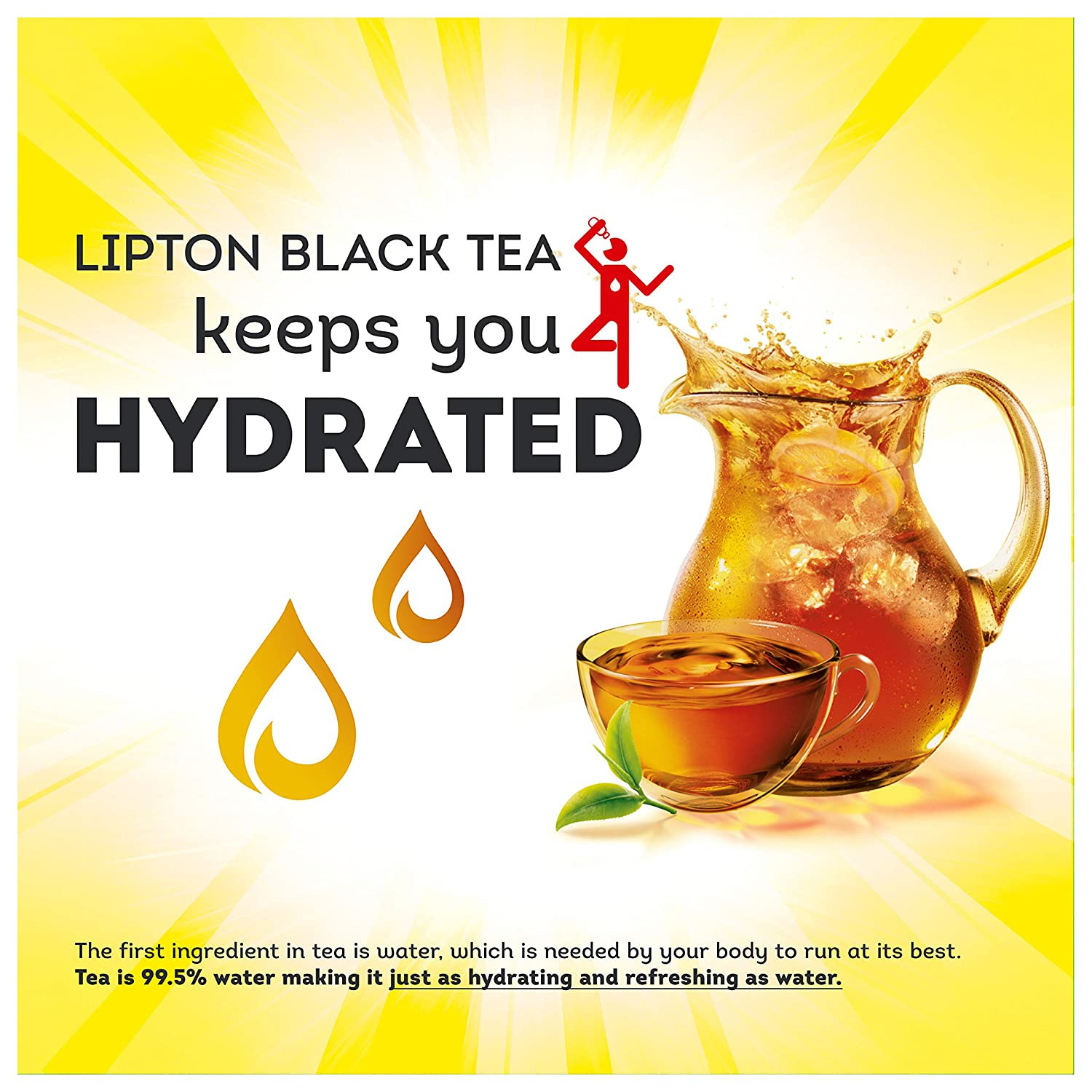 Family Sized Iced Tea Bags 48 Ct.