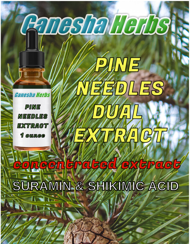 Fresh Wild Harvest Pine Tree Needle Tea leaves 10 oz. SURAMIN & SHIKIMIC ACID