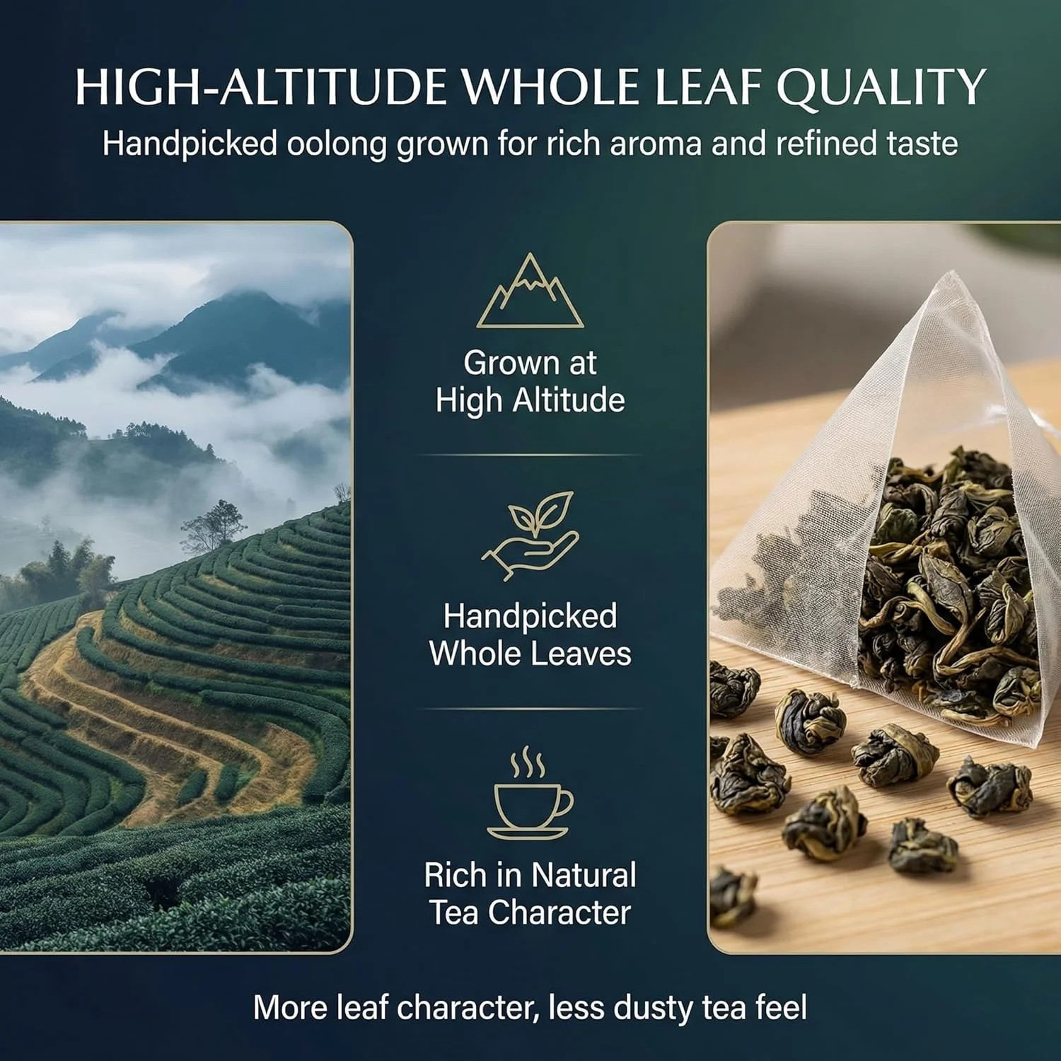 Oolong Tea Bags – Organic Whole Leaf Oolong – 20 Bags (5g Each) – Natural Relaxi