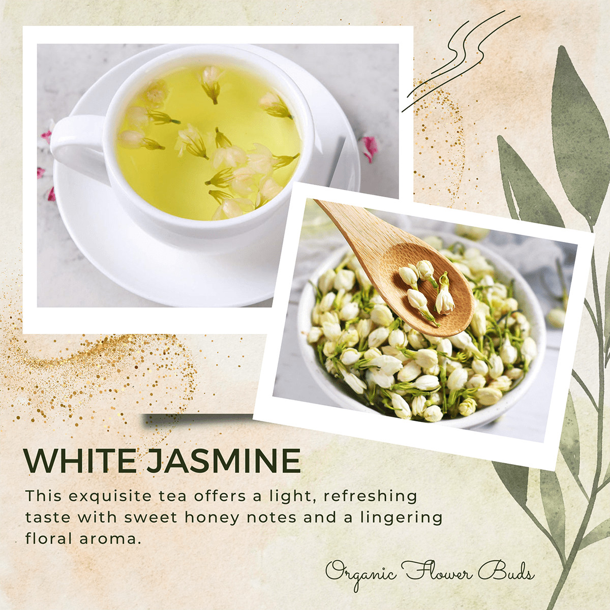 White Jasmine Tea Buds 100% Organic herbal infusion – FREE SHIPPING