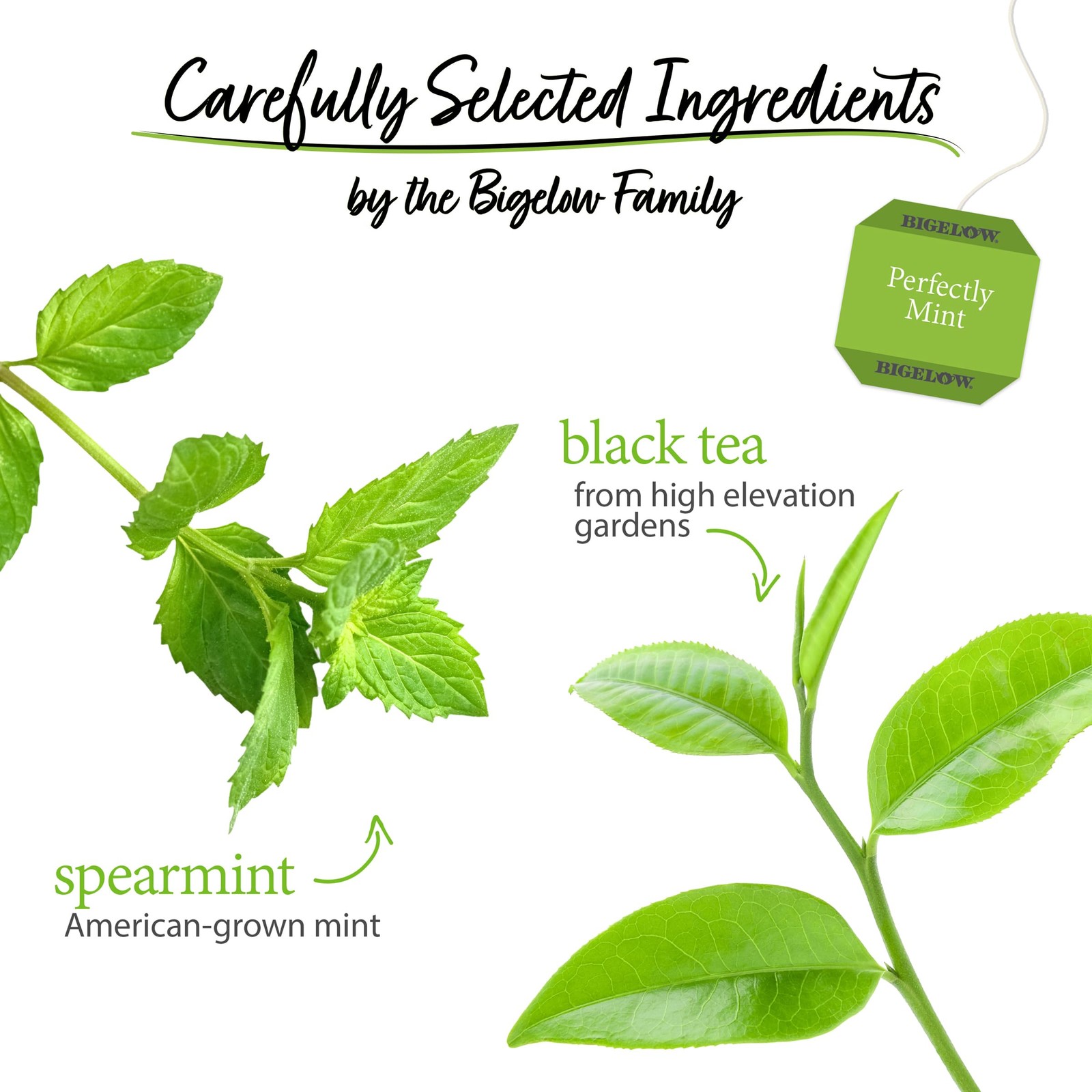 Bigelow Tea Perfectly Mint Black Tea Caffeinated 20 Total Tea Bags