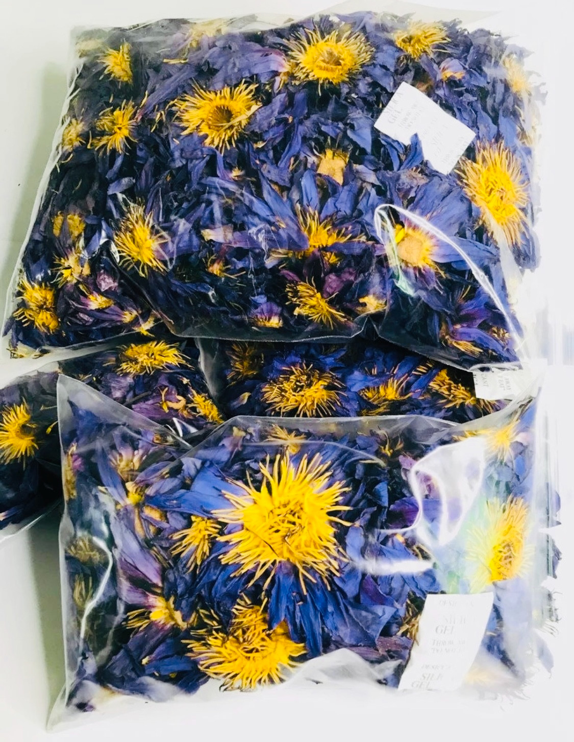 Blue lotus flowers, Dried lotus for tea, Blue lily, Egyptian Blue Lotus, Organic
