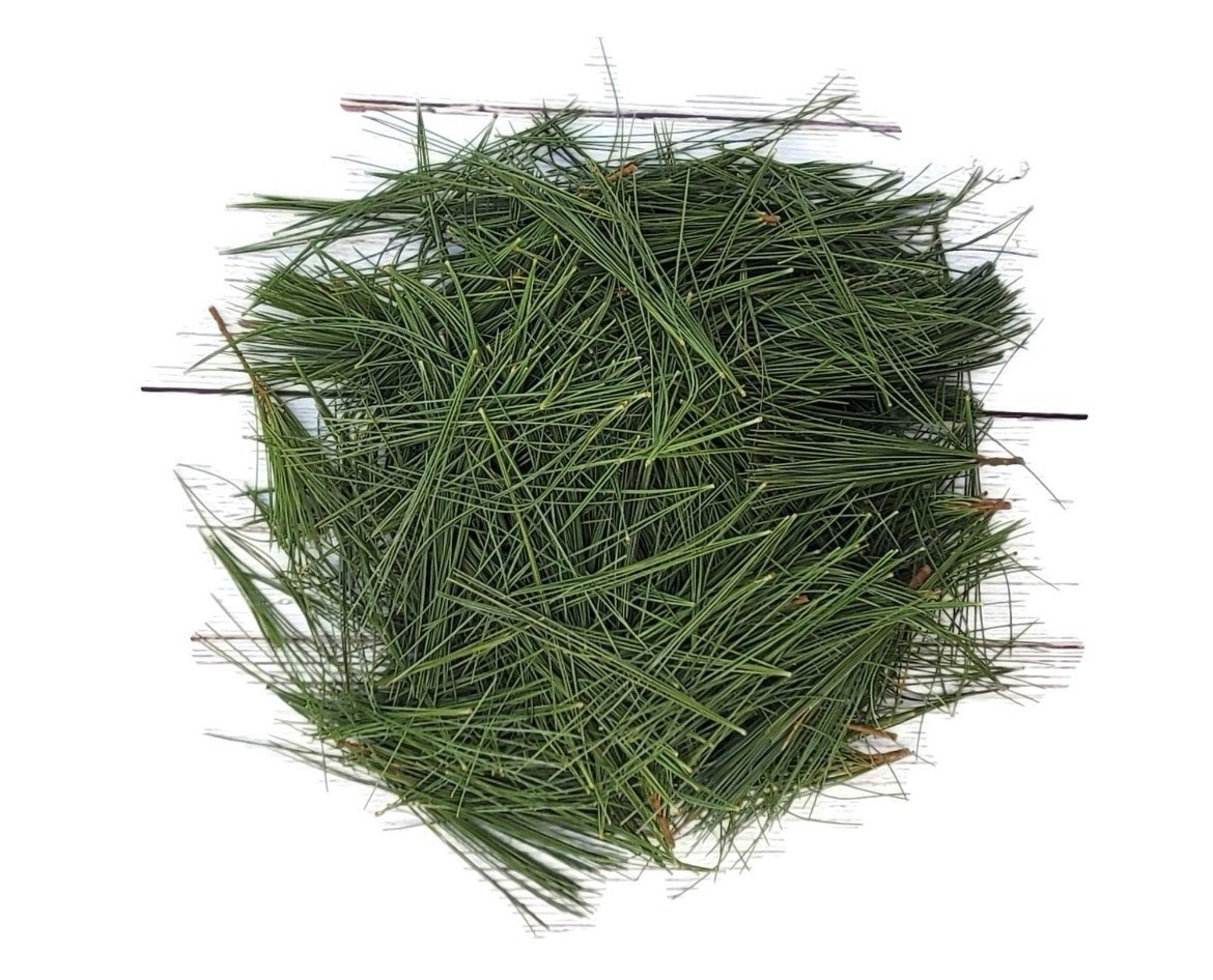 Dried White Pine Needles – 1/2 Pound (8 Oz) – 100% Organic Air Dried Premium
