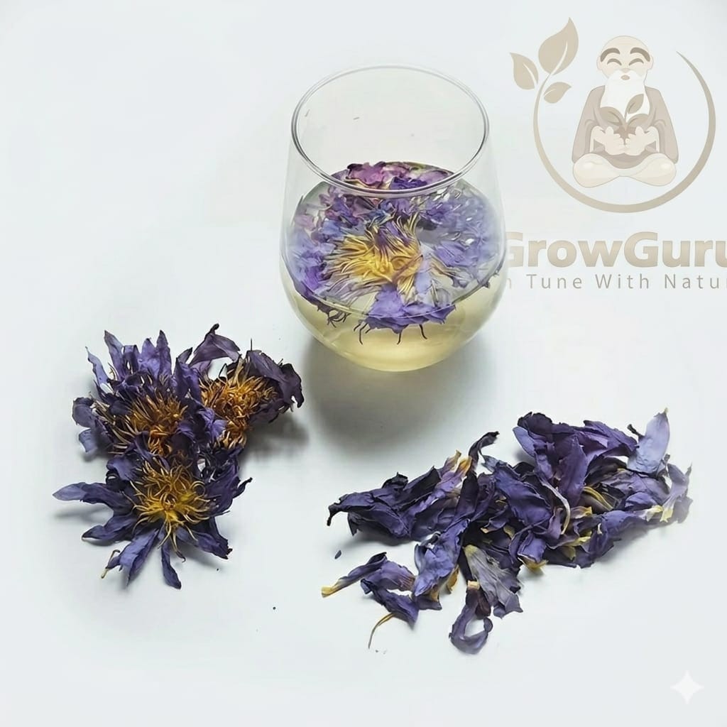 Dried Sri lankan Blue Lotus Herbal tea – 100g – Nymphaea Caerulea- organic