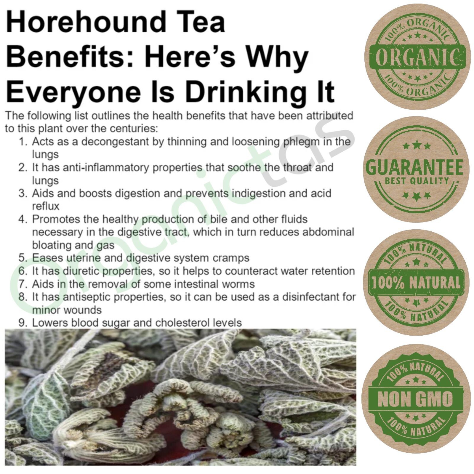White Horehound Herb Tea – Dried, Cut & Loose Premium Organic Quality Marrubium