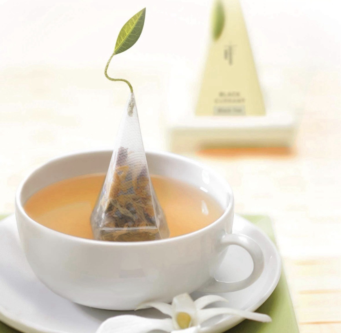 (2) Tea Forte White Ginger Pear 10 Pyramid Infusers White Tea = 20 Total Bags