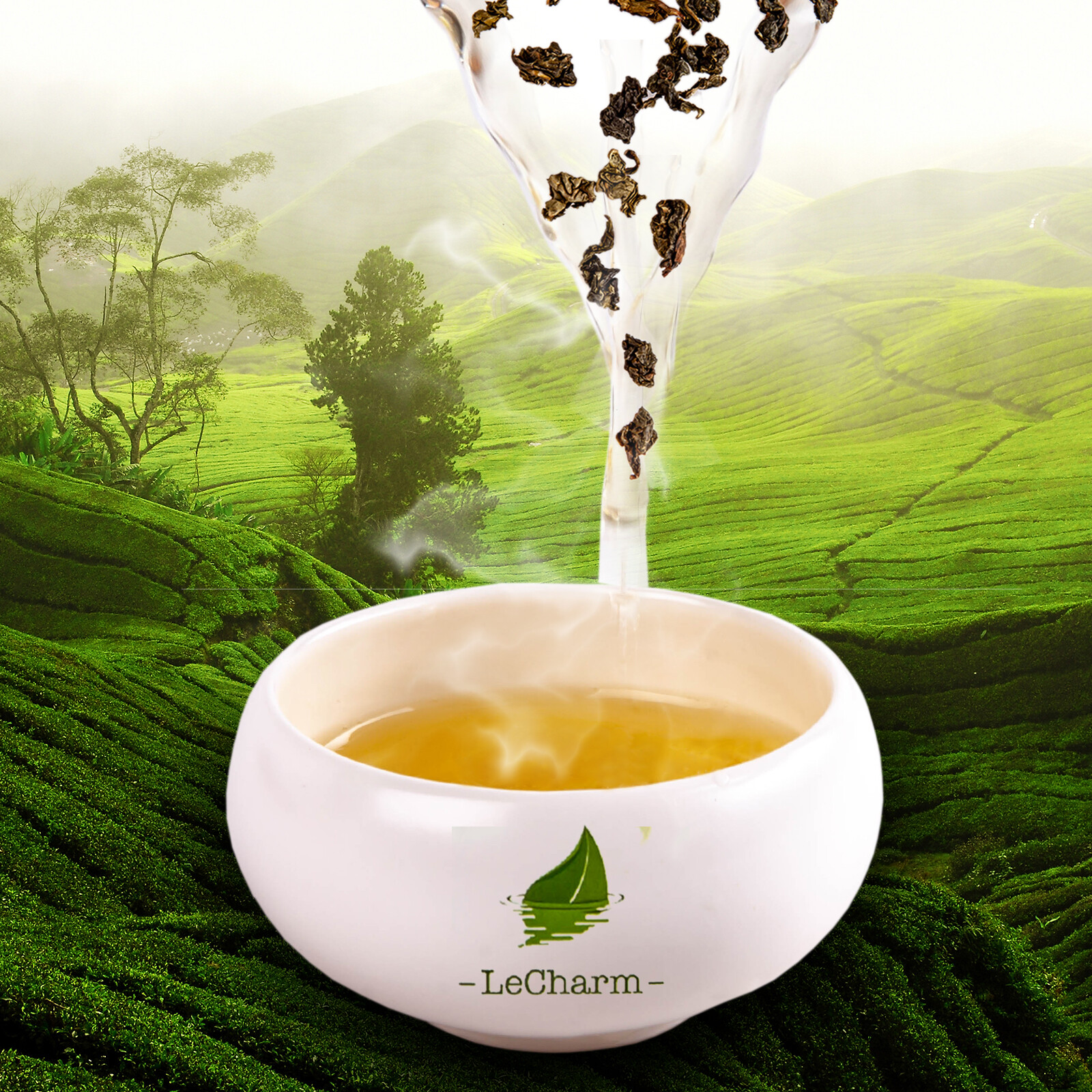 Premium Organic Huang JIn Gui Oolong Tea Black Oolong Tea for Weight Loss