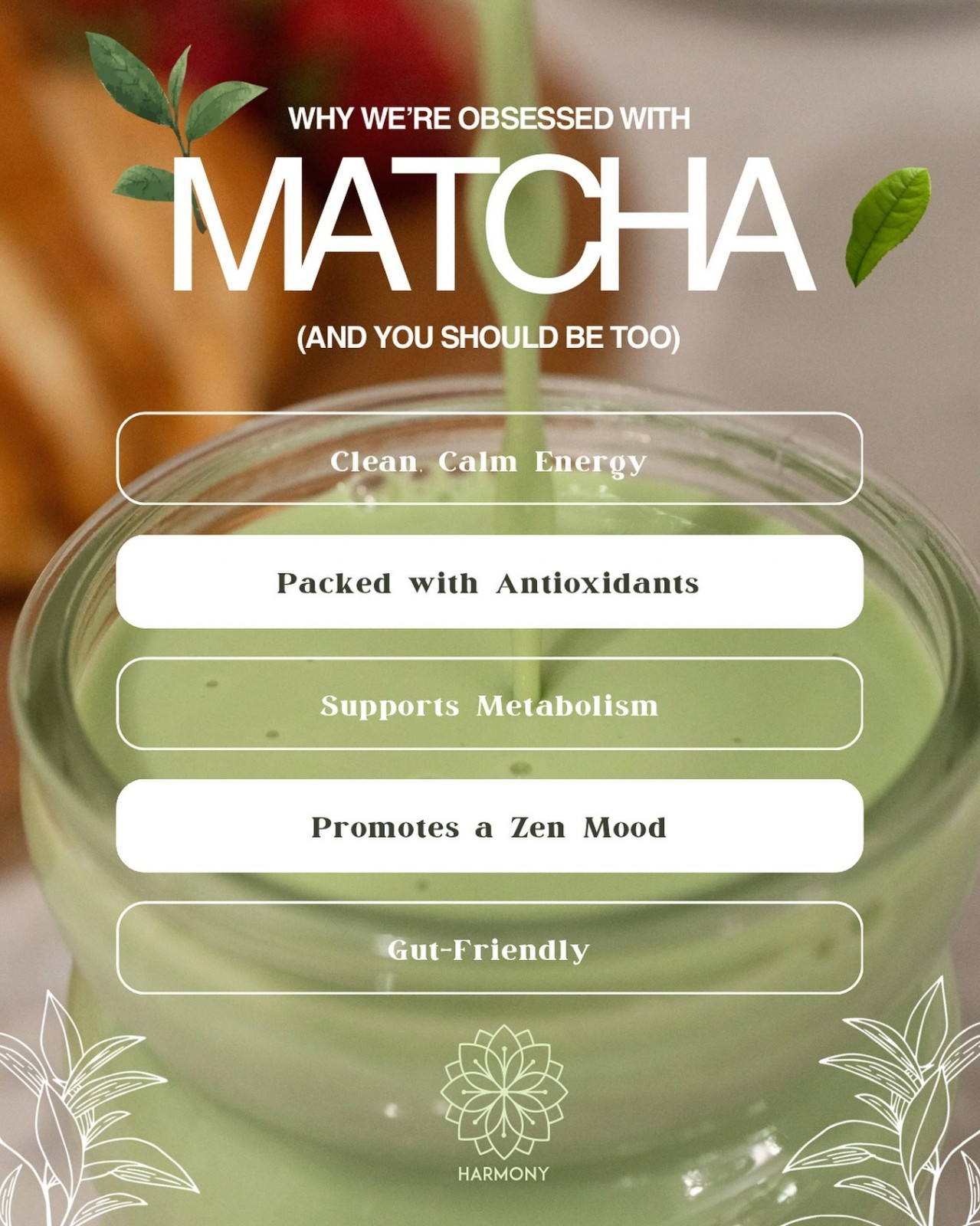Harmony Proteins™ Strawberry Matcha Tea w/ Antioxidants & L-Theanine