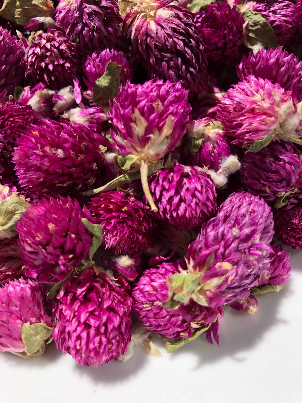 US SELLER! 8oz Food Grade Dried Loose Globe Amaranth Gomphrena Flower Herbal Tea