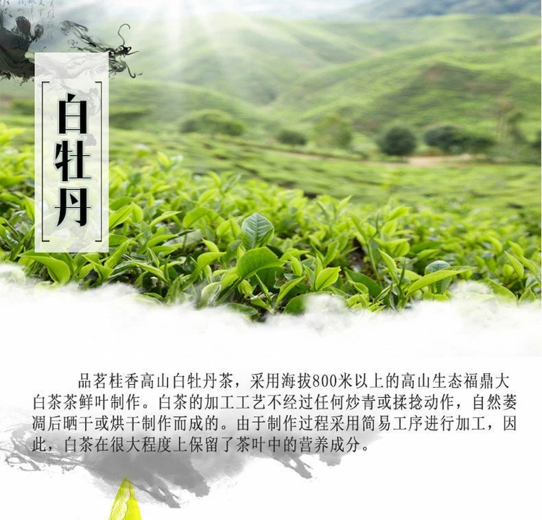Premium Organic Bai Mu Dan White Peony White Tea Spring Tea Loose Leaf Tea