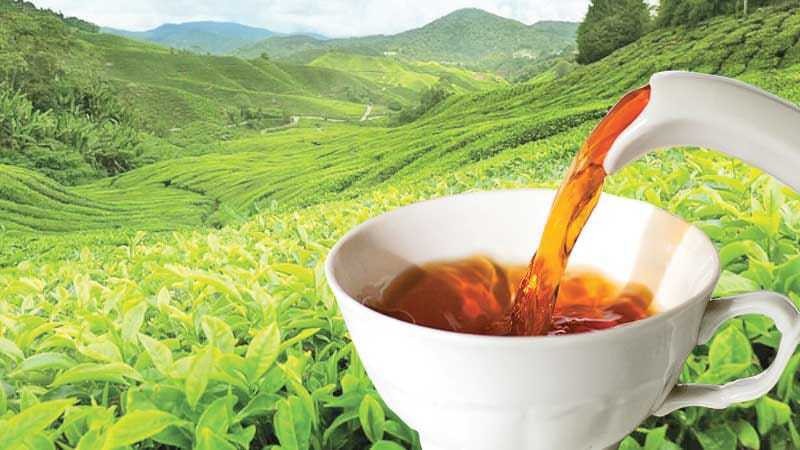 Brooke bond Ceylon Black Tea Pouch Quality & Premium 400g Sri Lankan Black Herb
