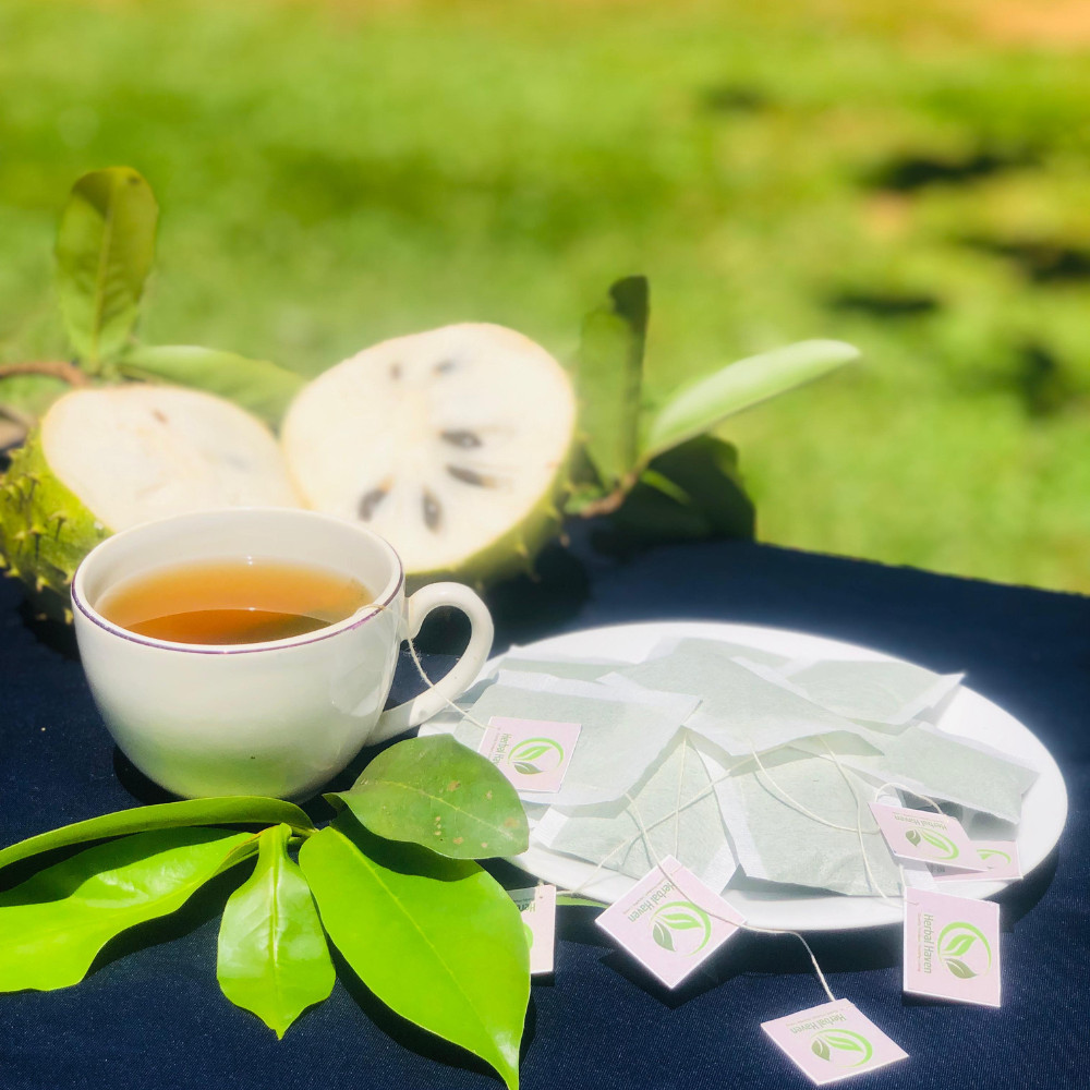 Dried Organic Soursop Leaves Herbal Tea Bags Guanabana Graviola Annona Muricata