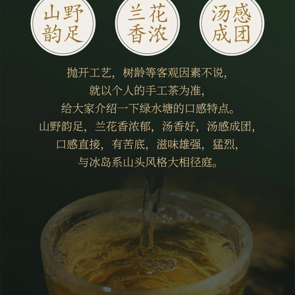 Pu-erh 普洱,2022,盛嘉源 SHENG JIA YUAN, 綠水塘 green pond ,357g,Raw
