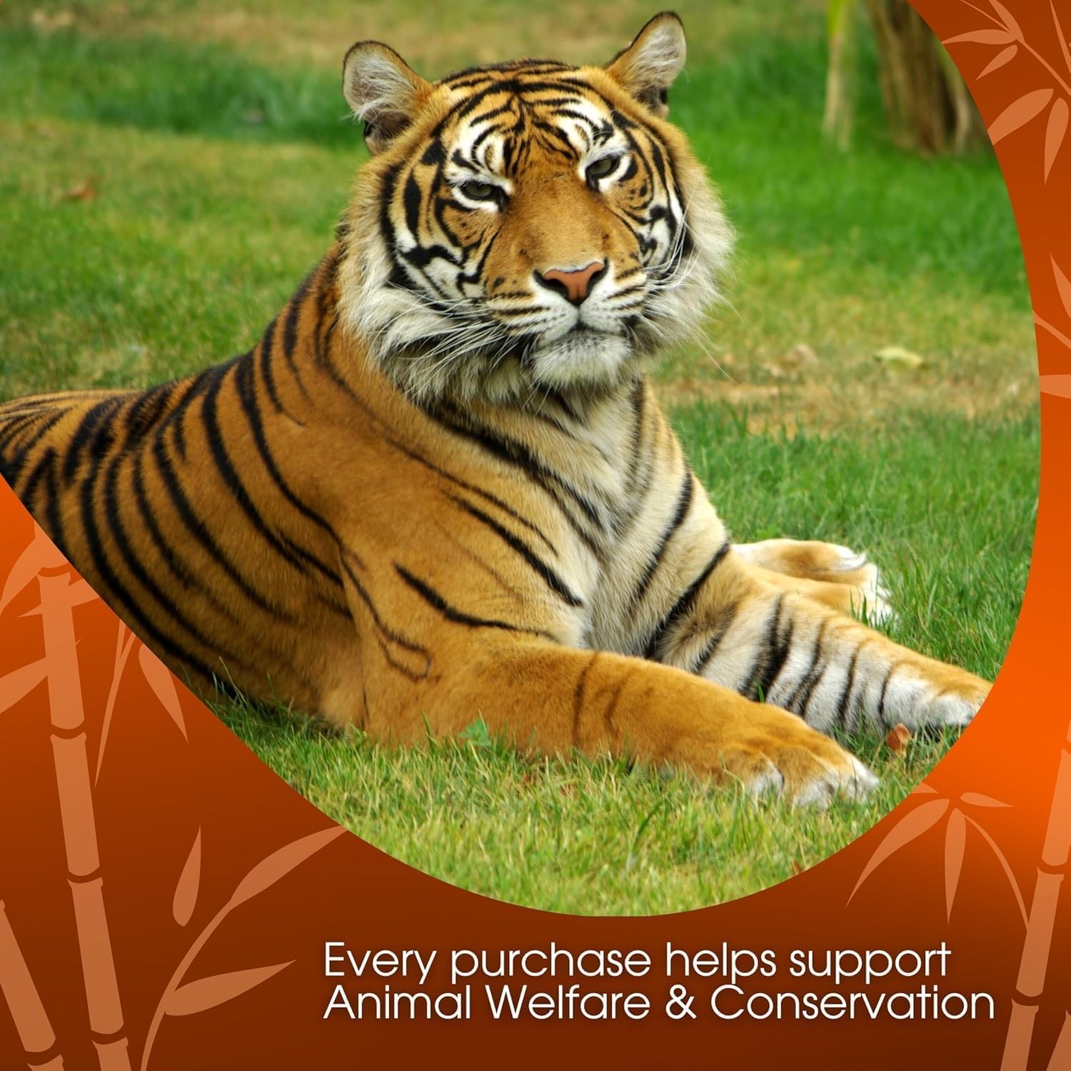 David Rio Food Service Bag Tiger Spice Chai, 1 Pack (1 x 4 Pound (Pack of 1)