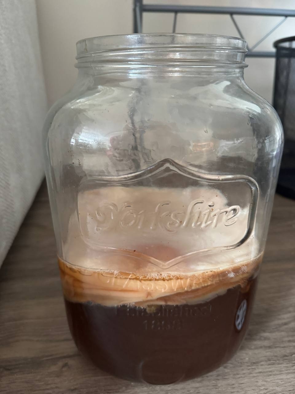 Large Live Kombucha SCOBY + Starter Tea | Tea Mushroom |Healthy Culture | Ready