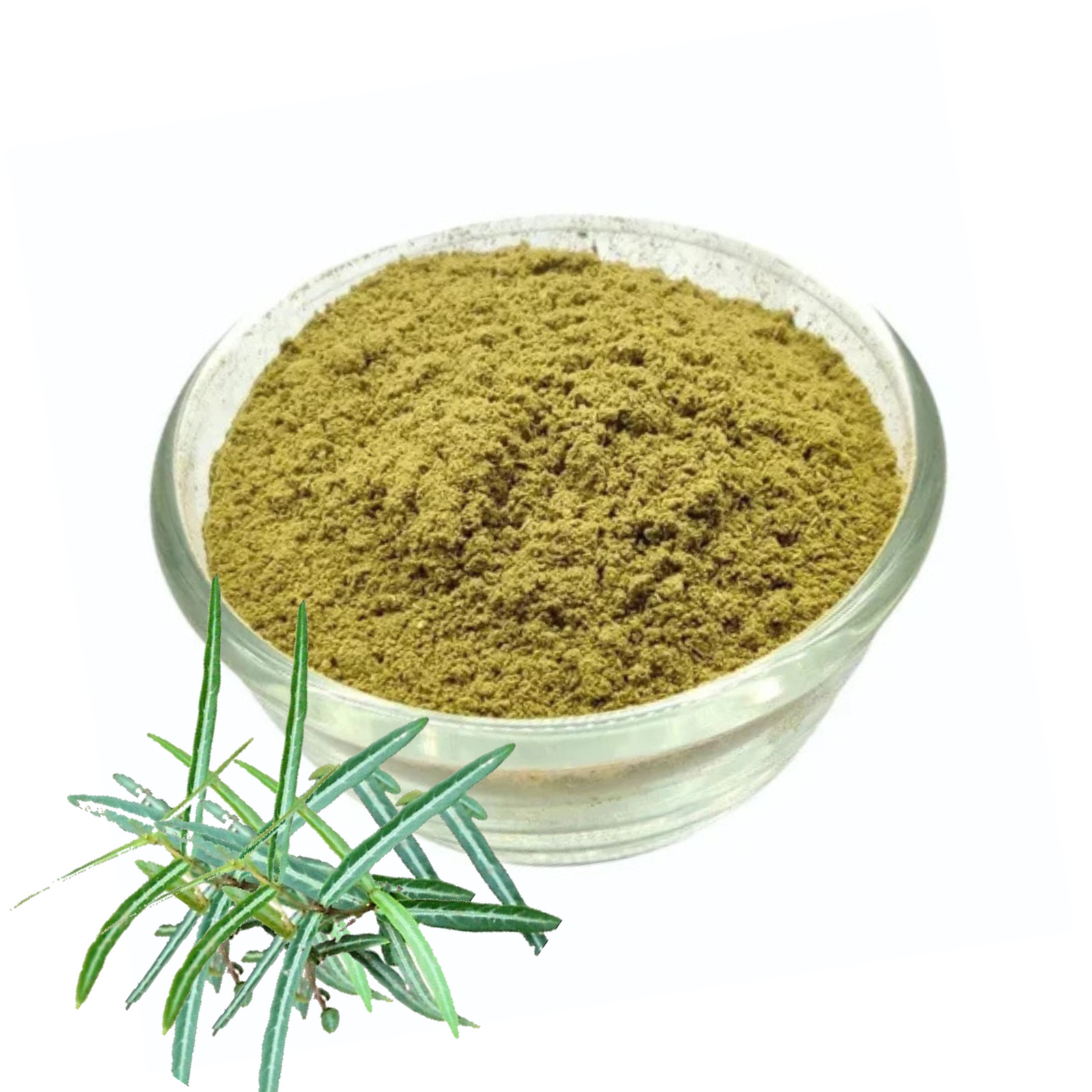 Sarsaparilla Leaf Powder | Organic Hemidesmus indicus | 100% Natural Herbal Tea