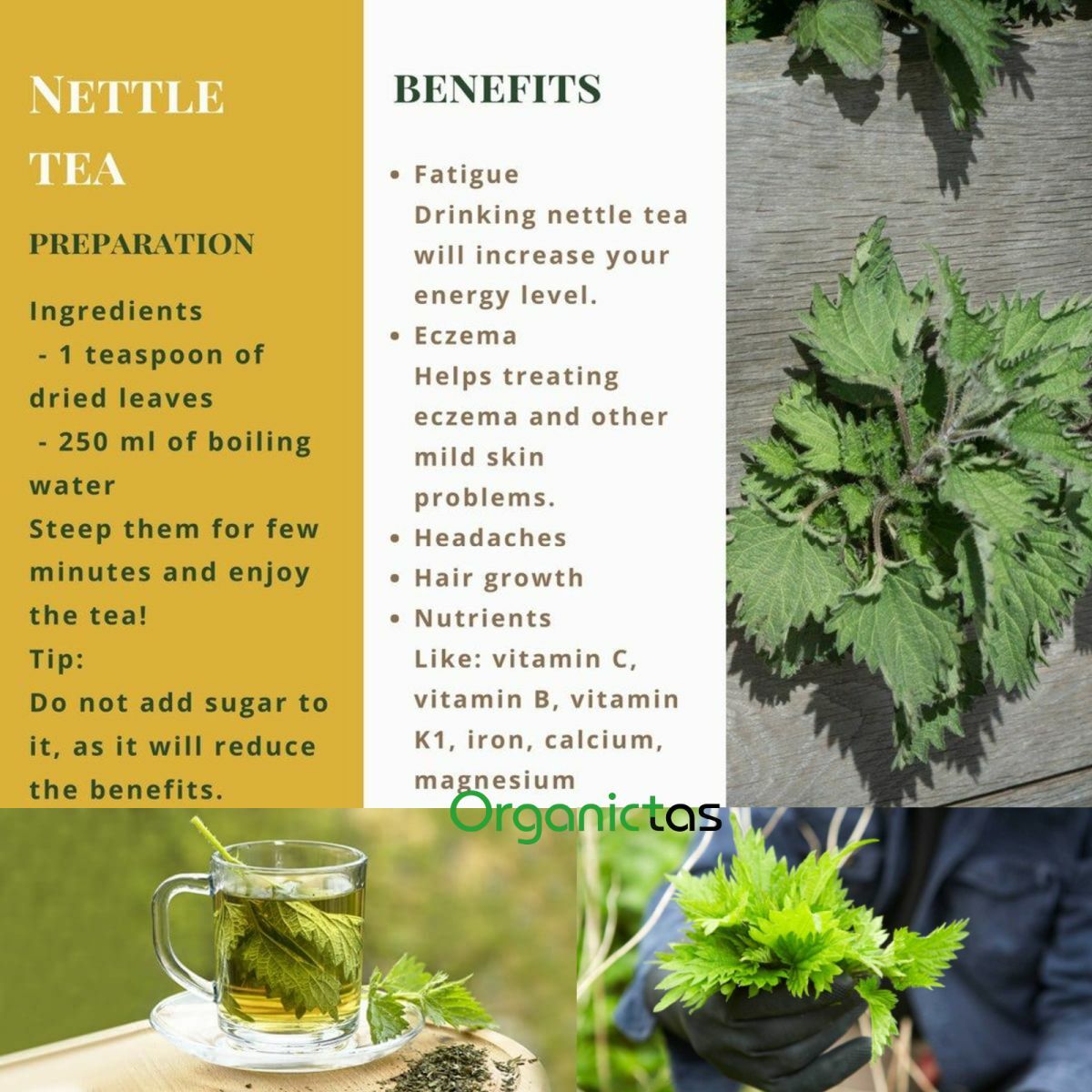 Organic Stinging Nettle Leaves Tea Dried Wild Harvested Urtica Dioica Bulgaria